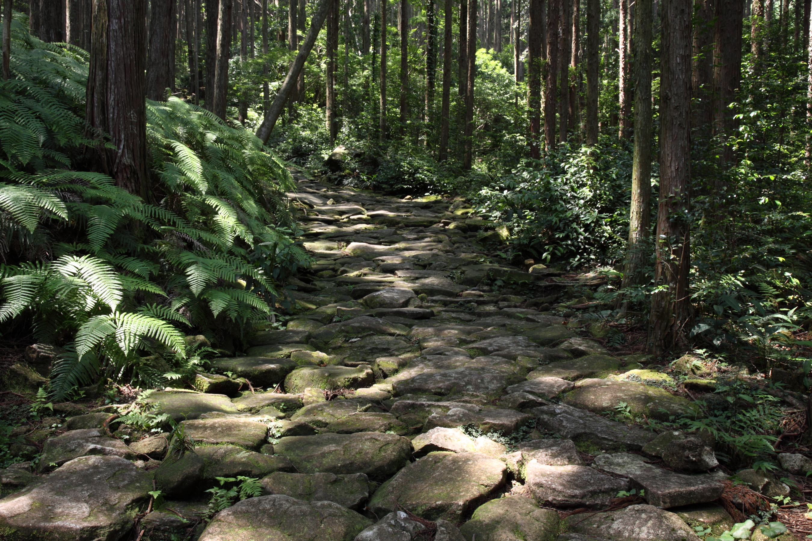 馬越峠道 (熊野古道)