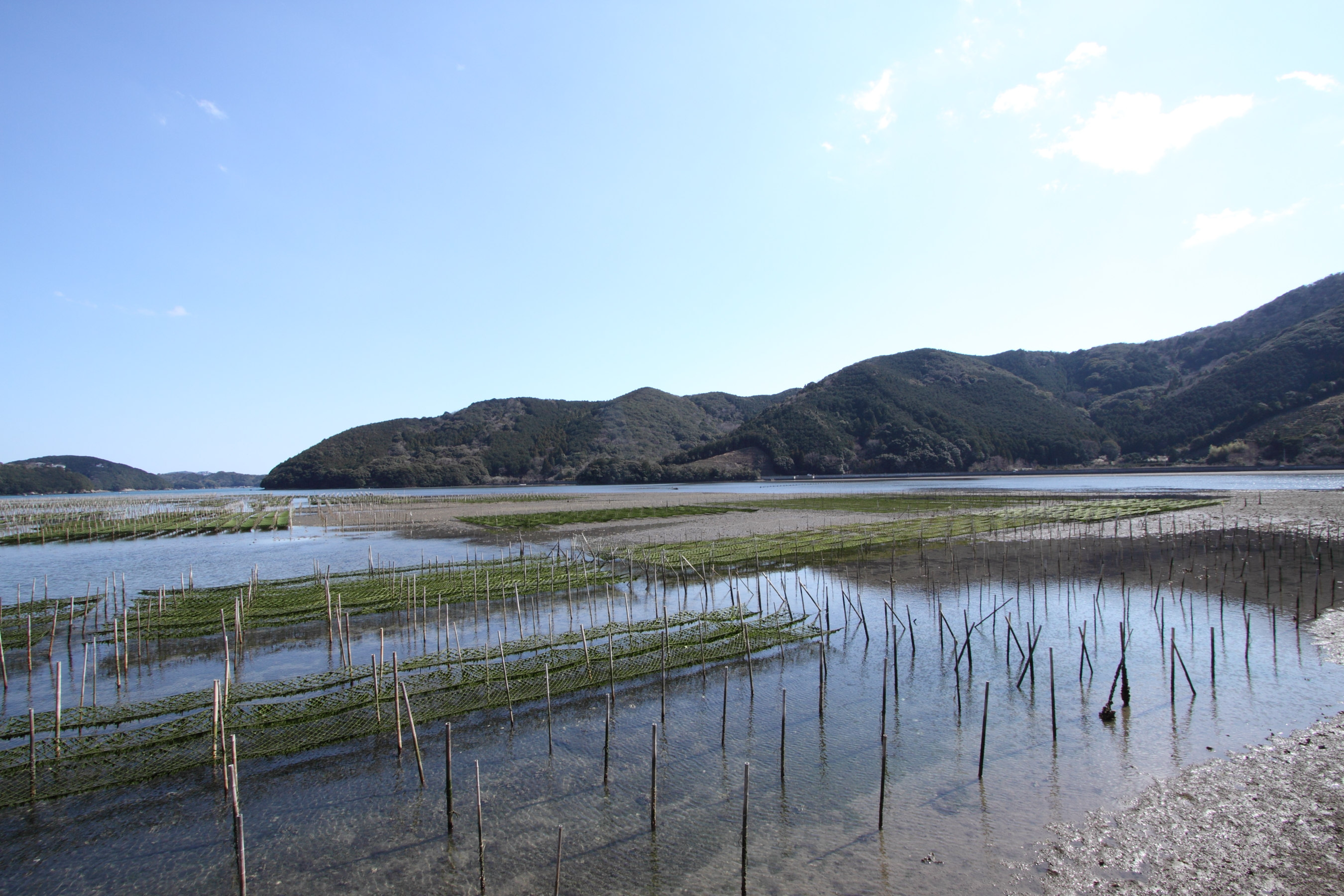 五ケ所湾 最奥 (内瀬)