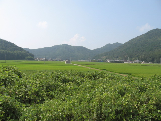 駅南部の田園風景