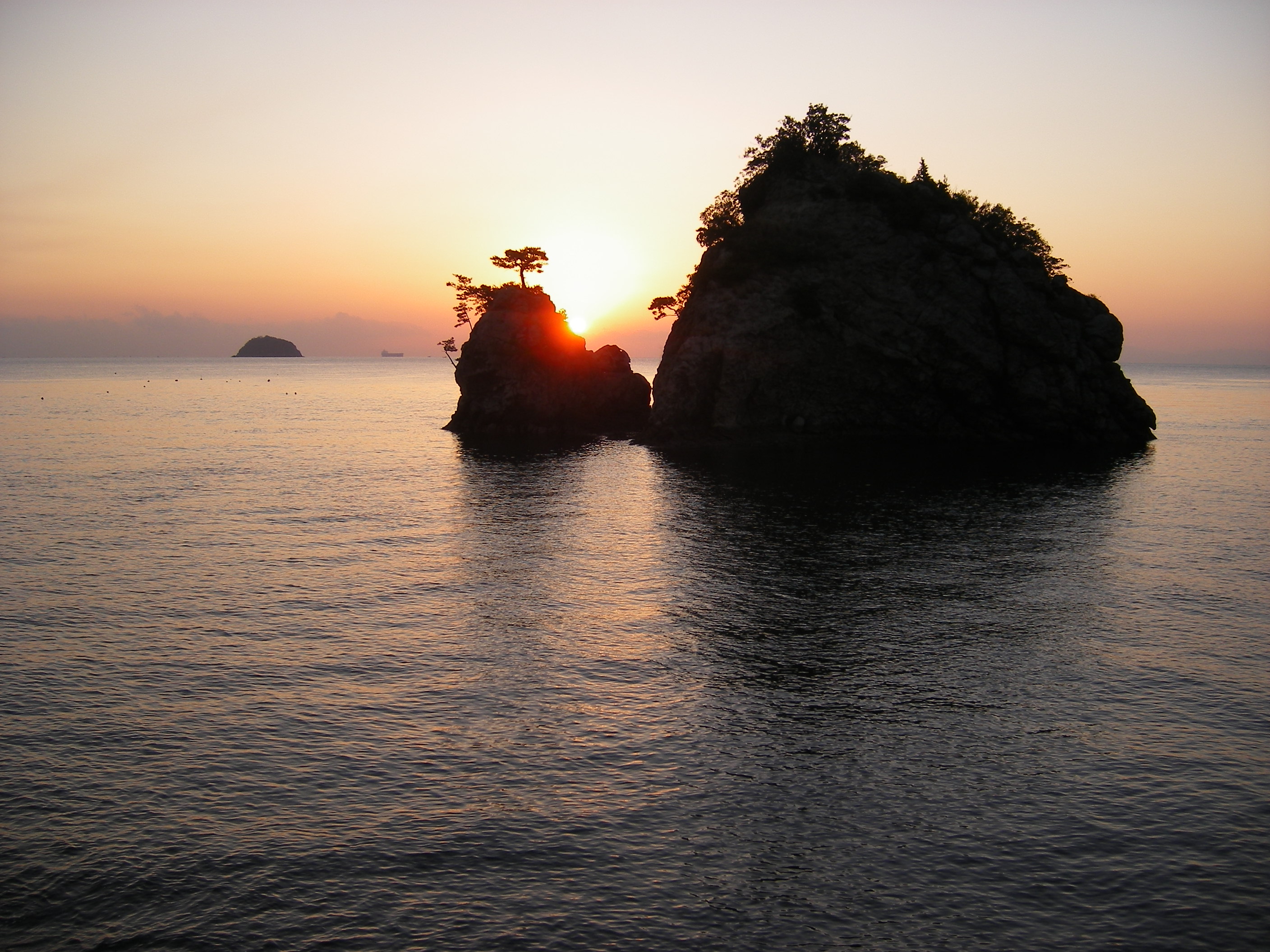 花寿波