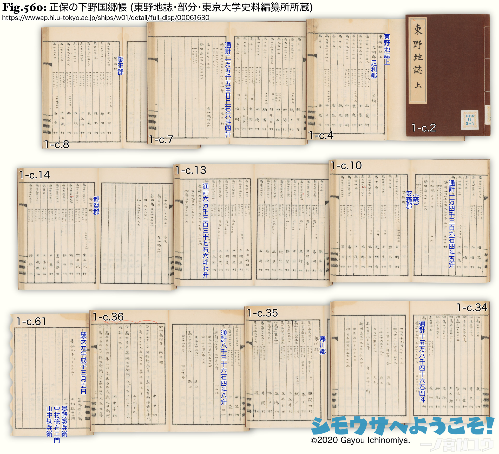 Fig.560: 正保の下野国郷帳 (東野地誌・部分・東京大学史料編纂所所蔵)
