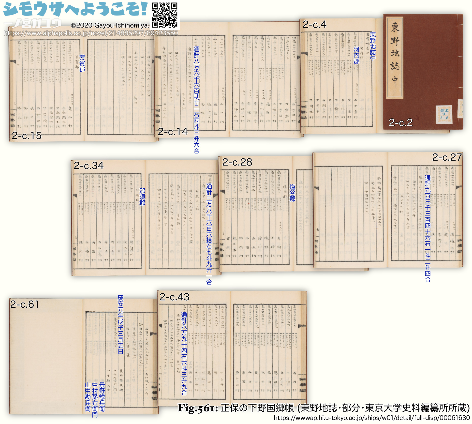 Fig.561: 正保の下野国郷帳 (東野地誌・部分・東京大学史料編纂所所蔵)