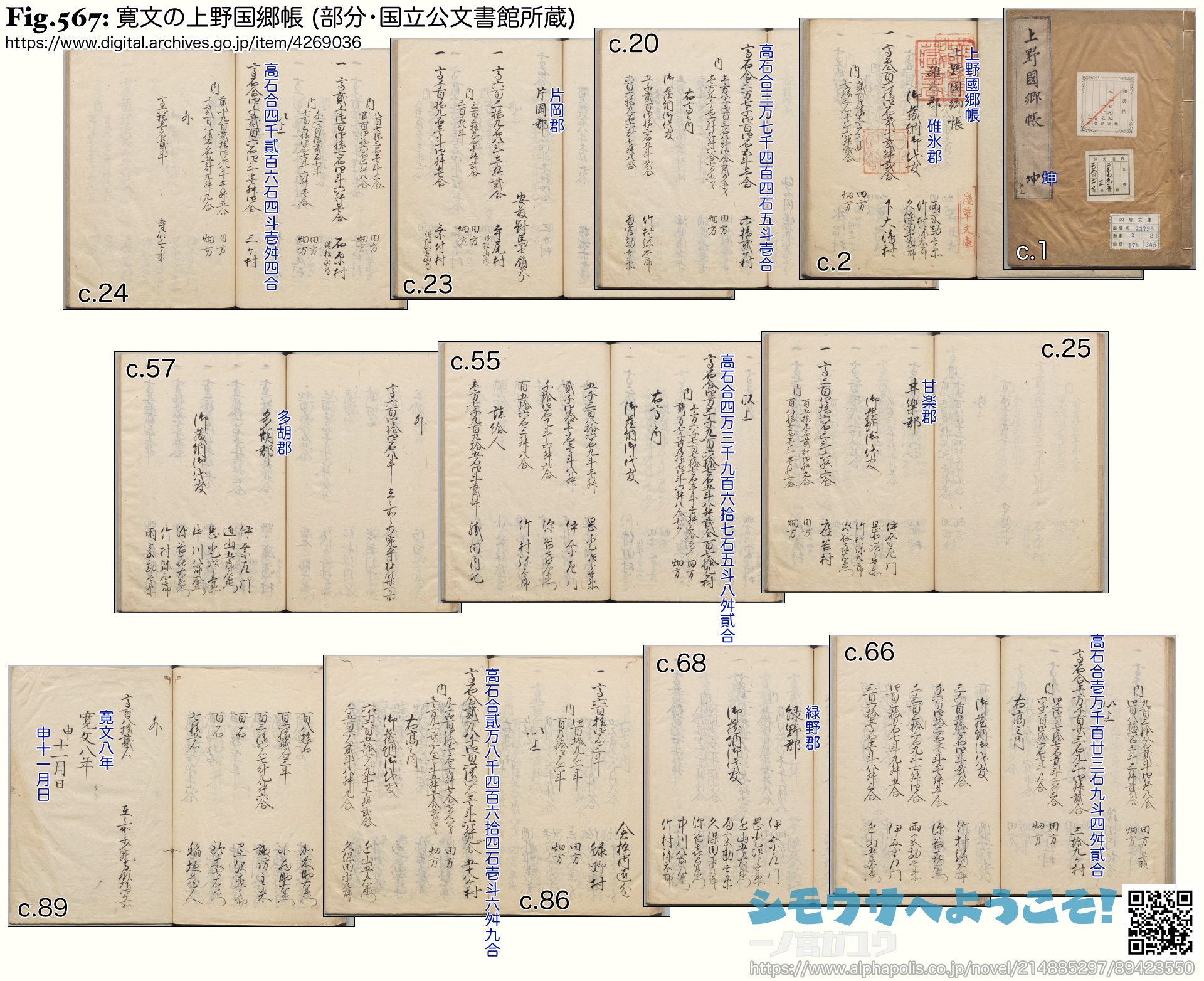 Fig.567: 寛文の上野国郷帳 (部分・国立公文書館所蔵)