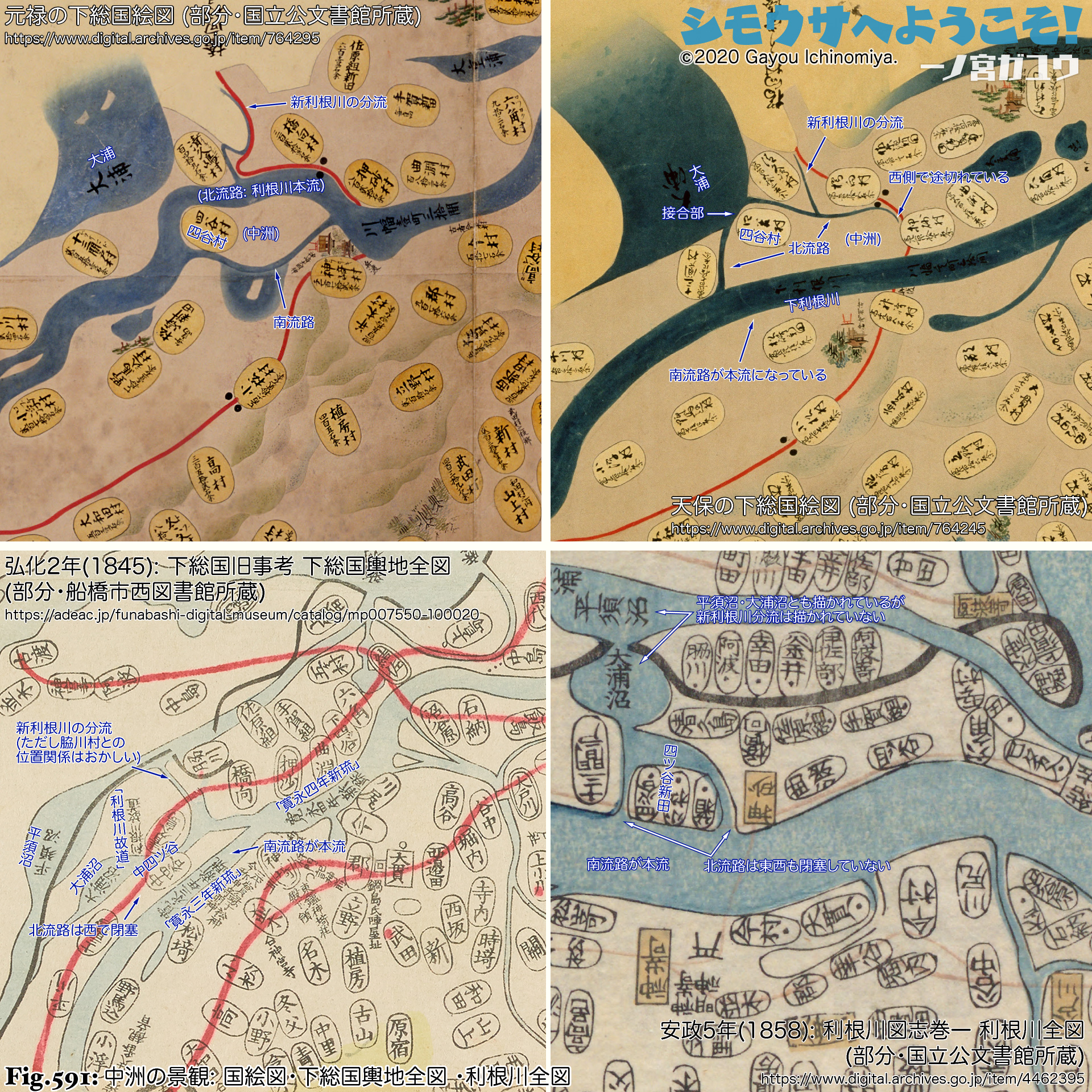 Fig.591: 中洲の景観: 国絵図・下総国輿地全図 ・利根川全図